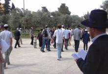 07713ae7-94e9-4e9d-aba8-2368e4442921