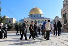 59f038b230bf2ac53b36c0caae7fe684