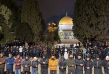 4b7ec9ec-f2bf-4daa-9859-fe825466b9bd