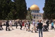 2021-07-10_13-37-20_527086-730x438