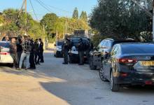 image_processing20230607-2140013-g9y3zv