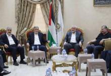 image_processing20230605-3048771-bqdhli