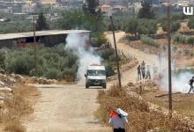 347413972_314152014269742_1248553083185231472_n