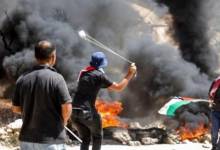 07132156736355349570217662310126