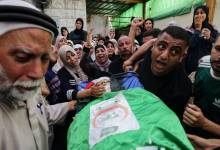 image_processing20230804-728895-kf3kda