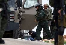 d4d718087411c481ba74054a5cffde95