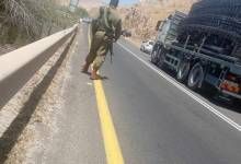 363433496_340509961633947_8949457964025444645_n