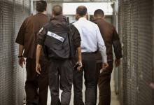 886bb3329b2216494d4a2f8cf9d61239