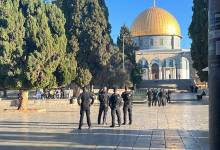 d8246d41-f7c4-4304-a16d-f3a7ca0454b7