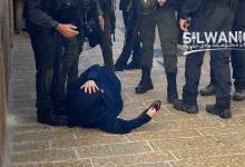 380128150_273754145593816_1042986536632791422_n