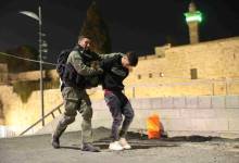 شرطة-اعتقال-شاب100