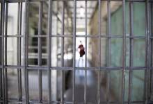 image_processing20221120-143110-qp5p24