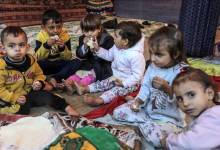 thumbs_b_c_82b3df270de29c46404af84db73dfd3d