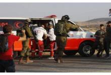 00063674063835332020006328275554