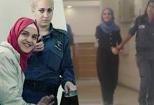 09158363087221682941836083840337