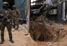 thumb_398042_700_420_0_0_exact