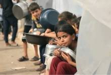 12202368953529971780