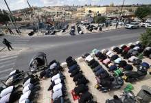 image_processing20231124-3475046-mytrb5