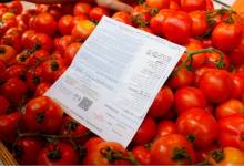 12202310102540454326401 (1)