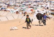 6ad40f25-164f-4292-a346-dd9765729e3b