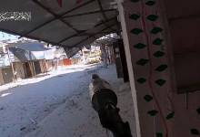 620249171323469903990