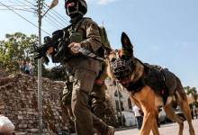 a9ac8352e2a2bf7242677ce549846b0b