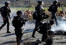 qna-palestine-04-08-2023