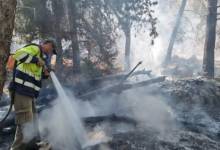 42e9538f-ff4a-4ba8-9b4c-237bd36ebc78