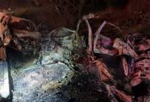 photo_2024-08-31_01-06-01