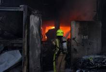 photo_2024-11-11_17-17-50