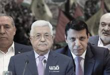 photo_2025-03-07_20-24-33