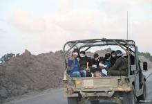 img (3)