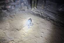 photo_٢٠٢٥-٠٧-٠٦_٢٢-١٥-٢١