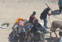 برنامج الأغذية العالمي: الاحتلال أطلق النار على فلسطينيين أثناء تسلّمهم مساعدات بغزة