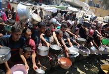 photo_2025-07-29_23-00-51