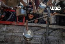 photo_2025-07-22_21-06-15