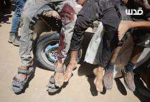 photo_2025-07-20_13-49-29