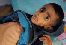 photo_2025-08-02_19-33-39