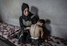 6-8-730x438-1-730x438