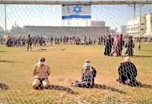 "الأورومتوسطي": الاتحادات الدولية تتستر على جرائم الاحتلال رغم استشهاد 664 رياضياً