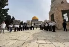 الأقصى بعد تقسيمه