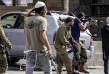 thumbs_m_c_381c433332054f6fdbe88b07d0f90145