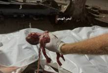 photo_٢٠٢٥-٠٩-٠٣_٠٣-١٥-٠٦