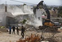 الديوك التحتا-b0dd2a3a-5bcd-496c-a729-1f3f3f393bd3