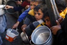 20498bc2e4b27c590e4a05a38198b890-73798635