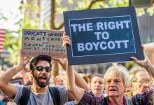 1229099667-1695225894