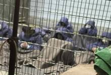 الاحتلال يُدخل أسلحة جديدة للسجون ويحّول المعتقلين إلى "حقول تجارب"