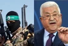 معرض صورتان (9)