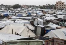 thumbs_b_c_7fab6bbbe6d1ba00d0d6c961cbc2b882