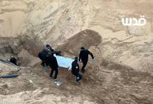 photo_٢٠٢٥-١٠-٢٨_١٧-١١-١١